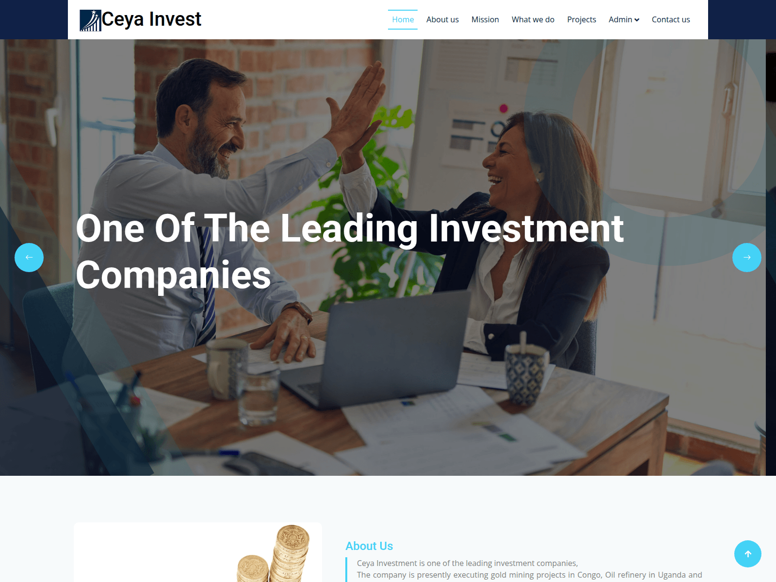 Screenshot of ceyainvest.com