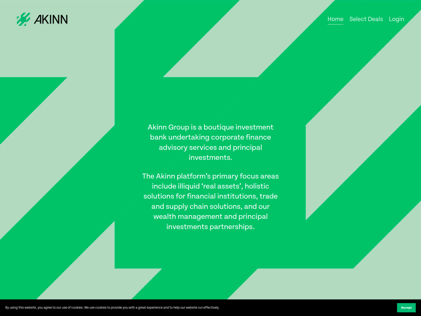 Screenshot of akinngroup.online