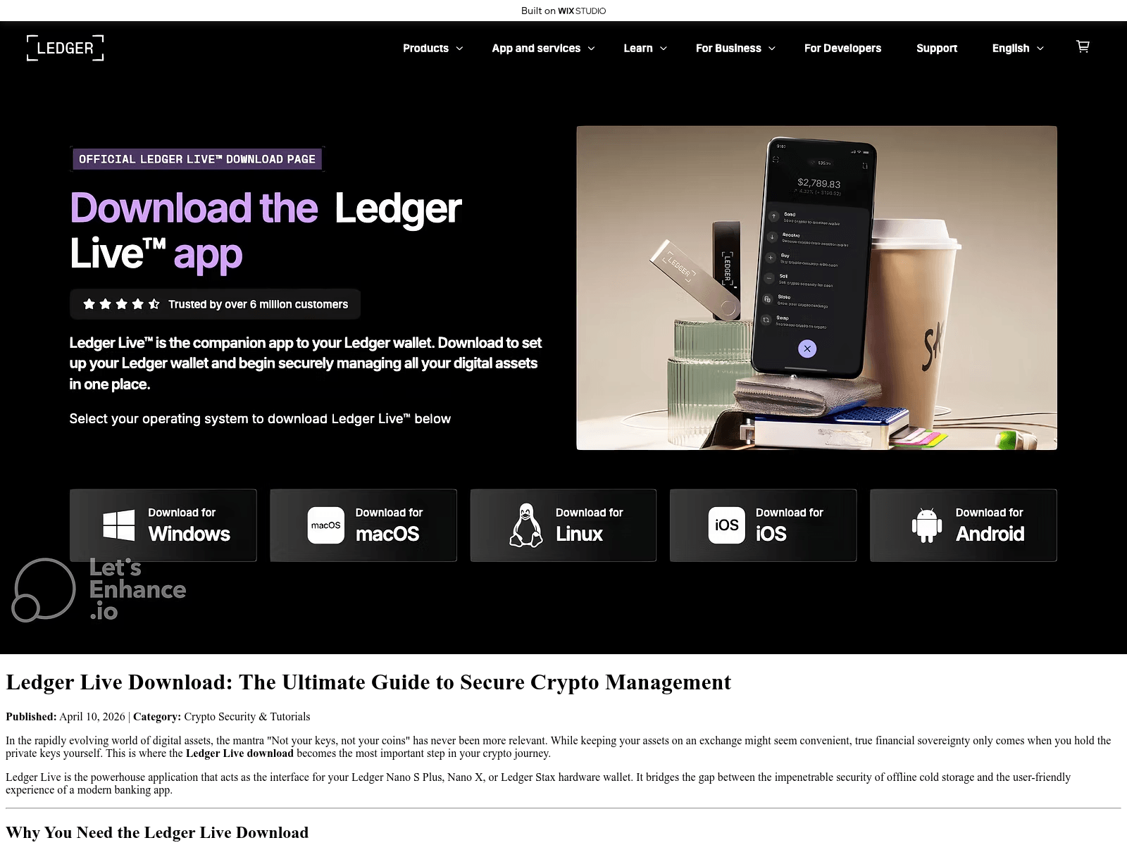 Screenshot of global-ladger.wixstudio.com