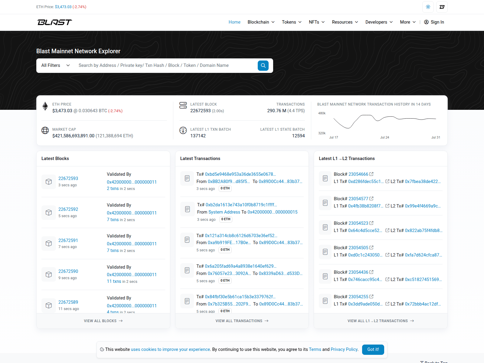 Screenshot of blastscann-io.pages.dev