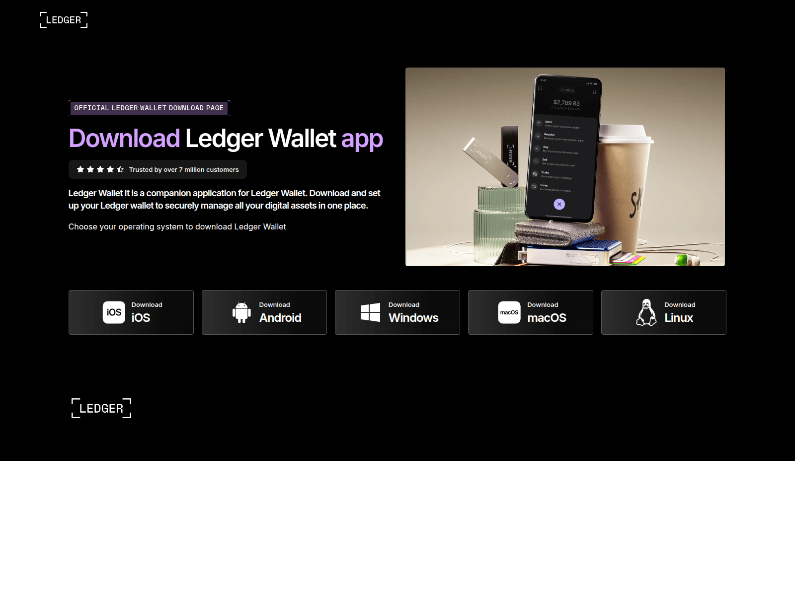 Screenshot of www.ledgerwallet.cc