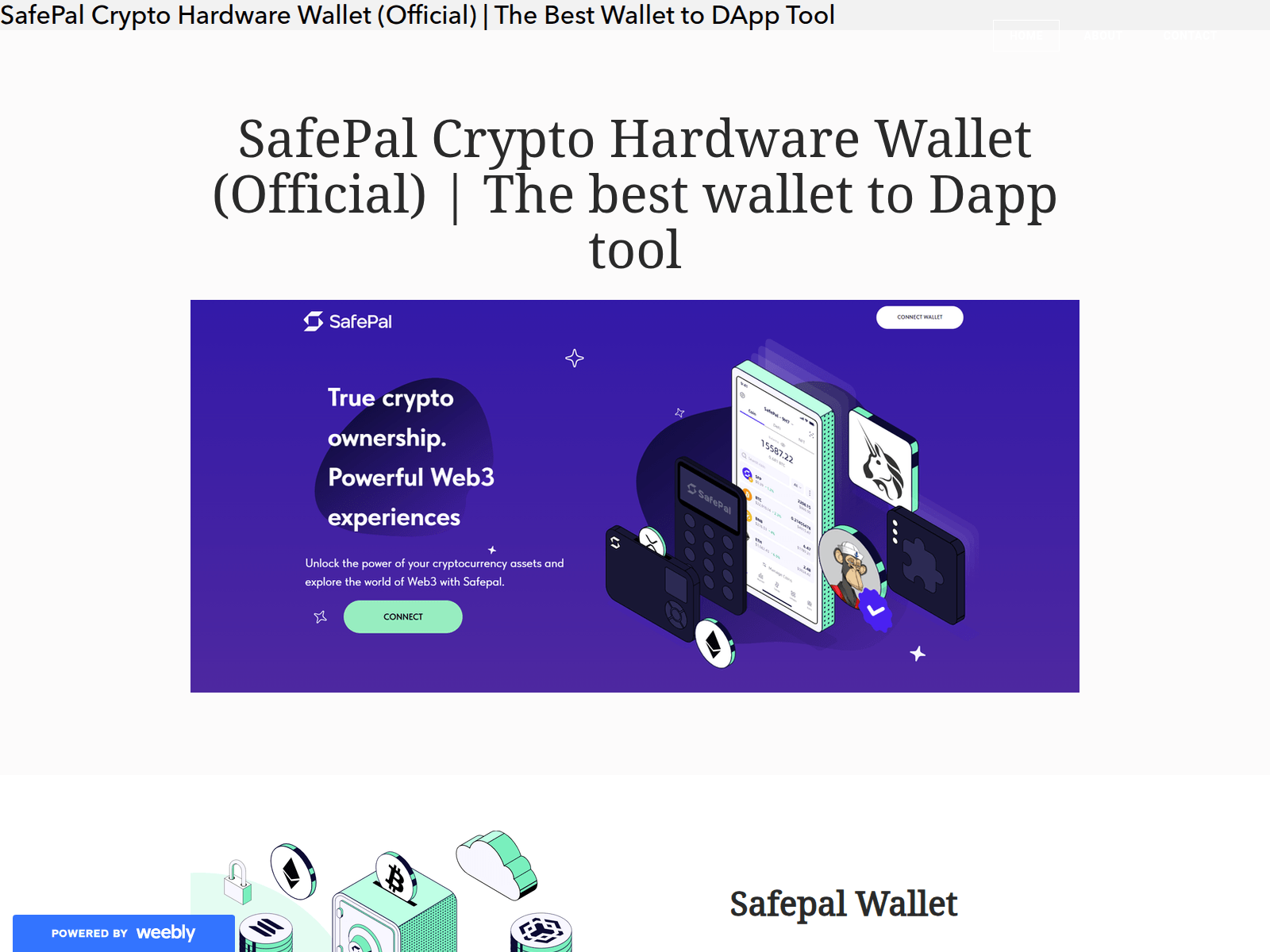 Screenshot of safewalliet.weebly.com