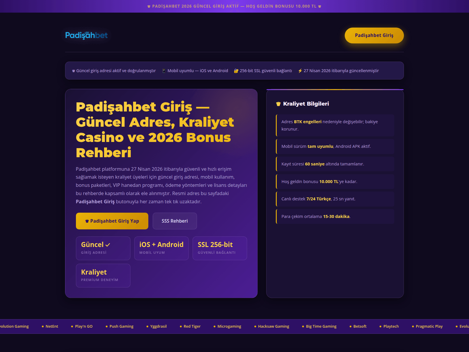 Screenshot of m.padisahbet-girisadresi.com.co