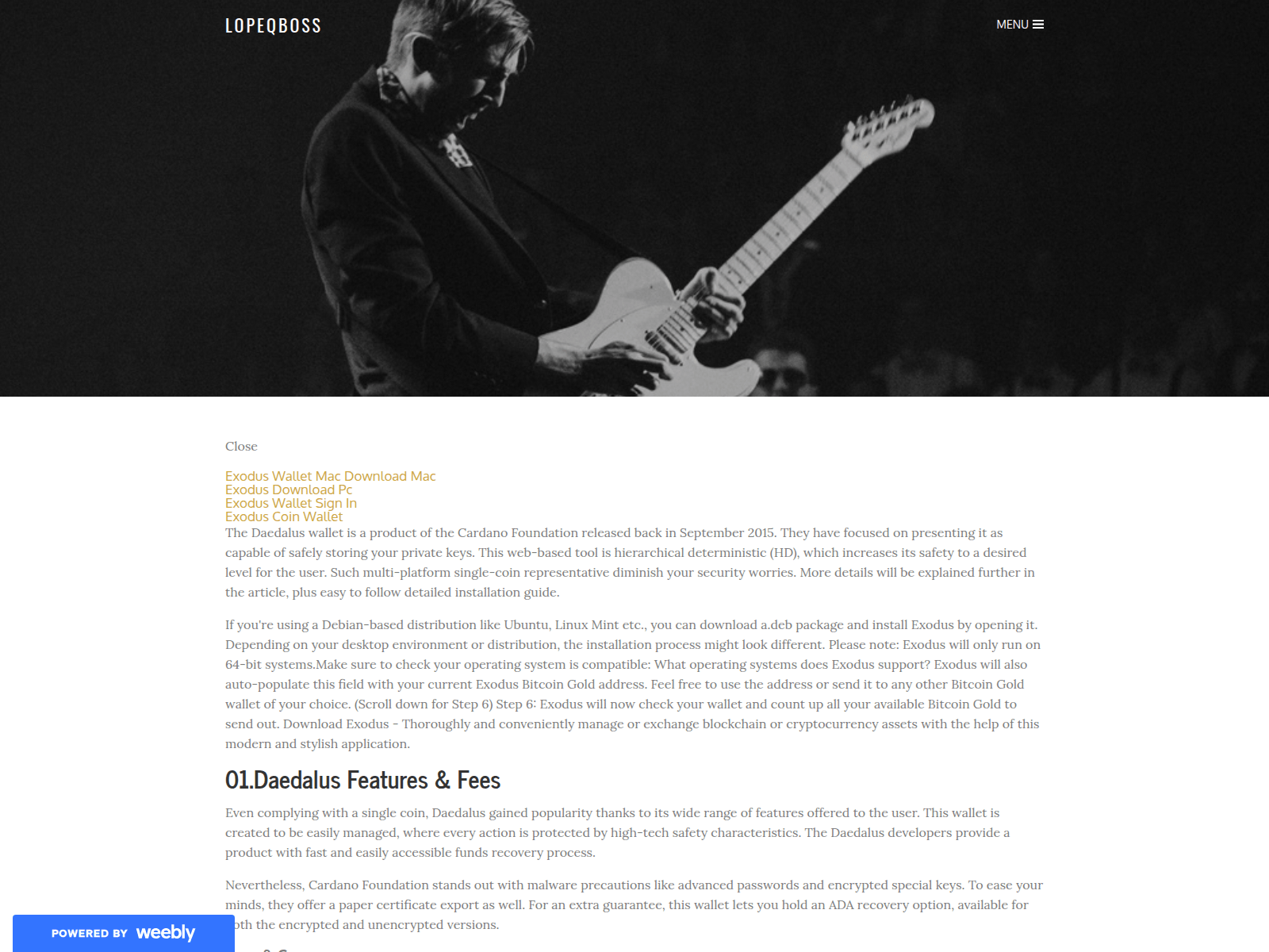 Screenshot of lopeqboss.weebly.com