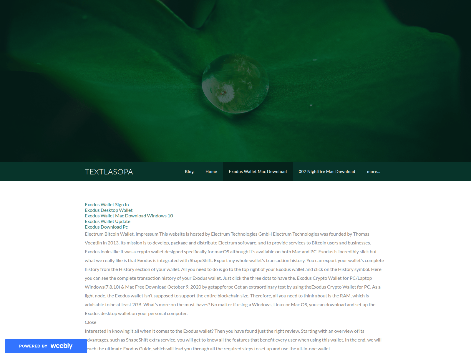 Screenshot of textlasopa770.weebly.com
