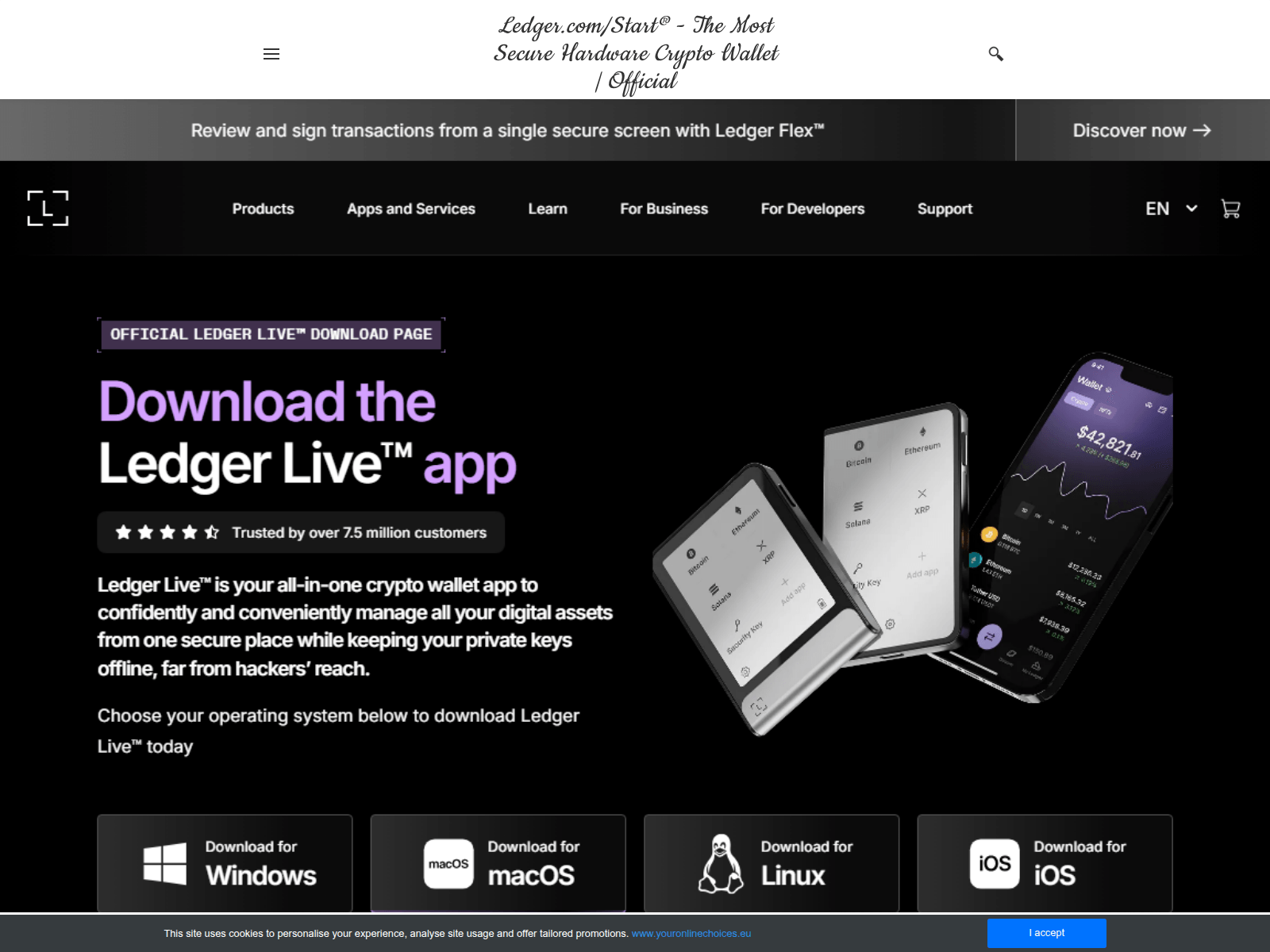 Screenshot of startledgre-comnet.weebly.com
