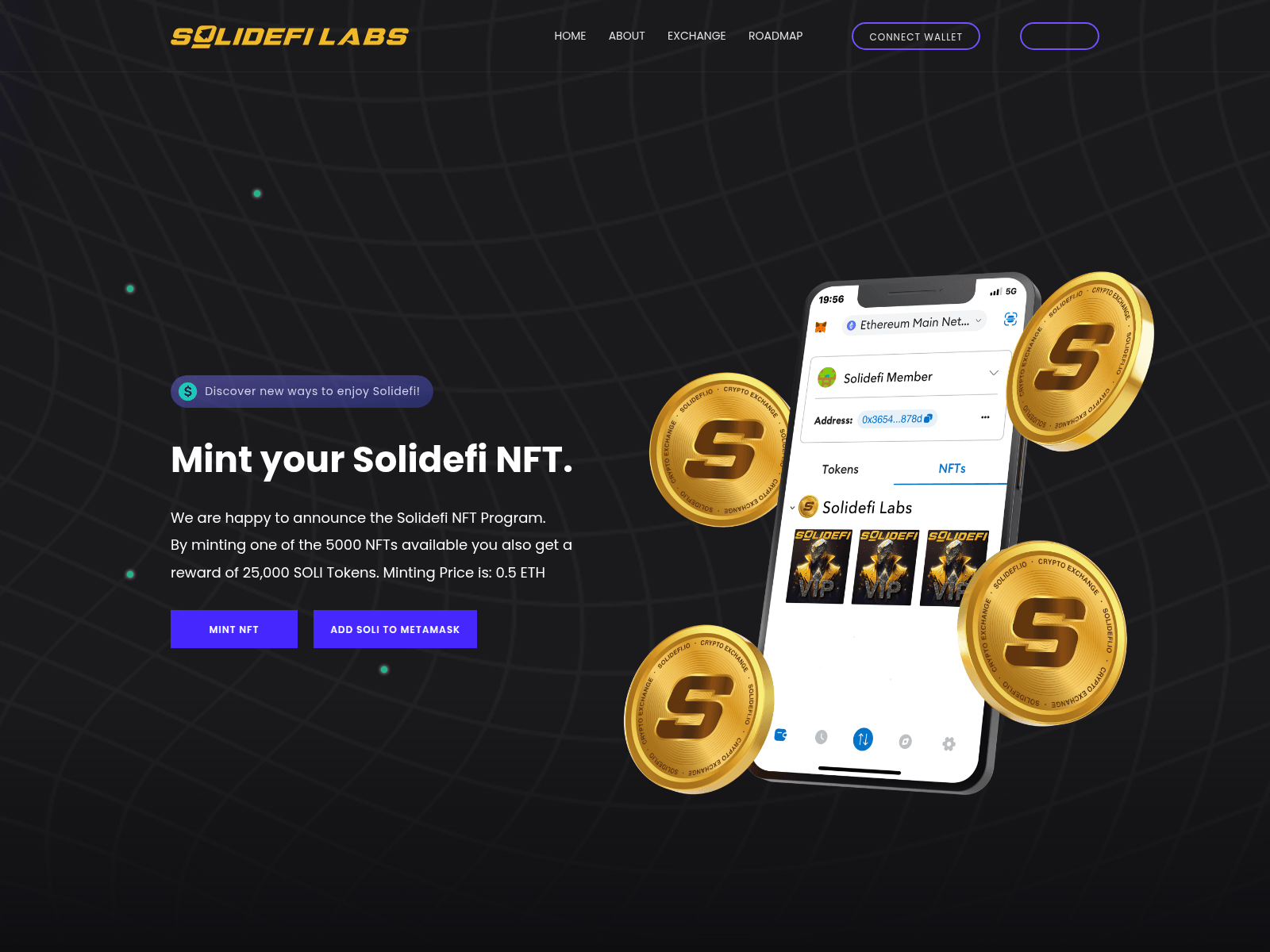 Screenshot of solidefilabs.com
