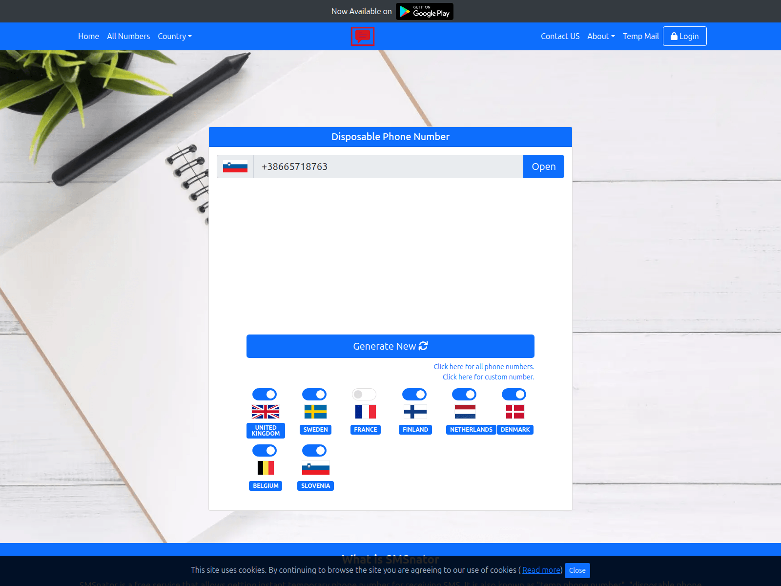 Screenshot of smsnator.online