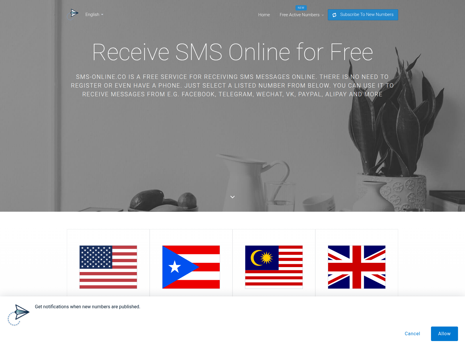 Screenshot of sms-online.co