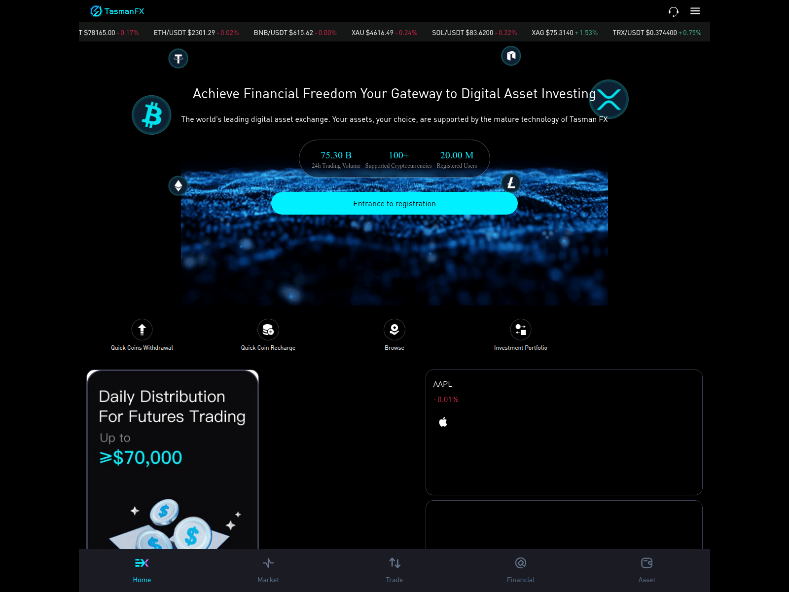 Screenshot of tasmanfx.cyou
