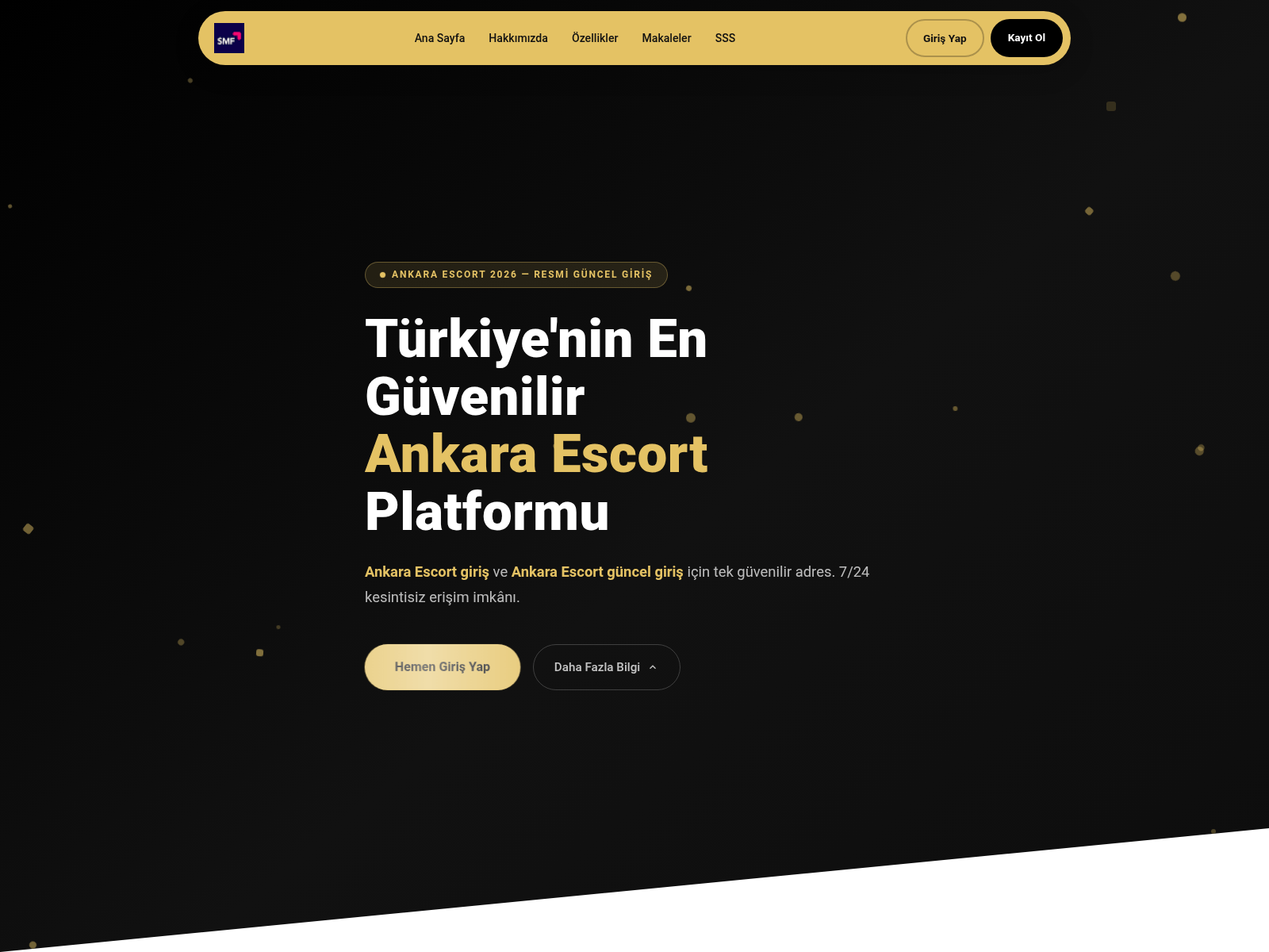 Screenshot of ankarasmf.icu