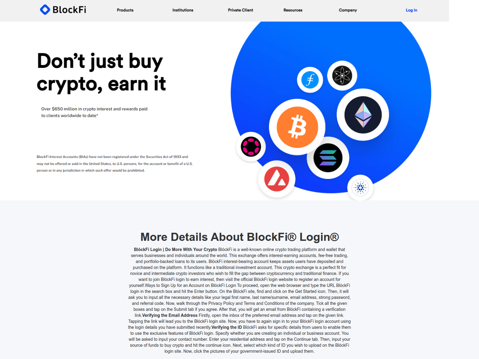 Screenshot of blokfilogin.webflow.io