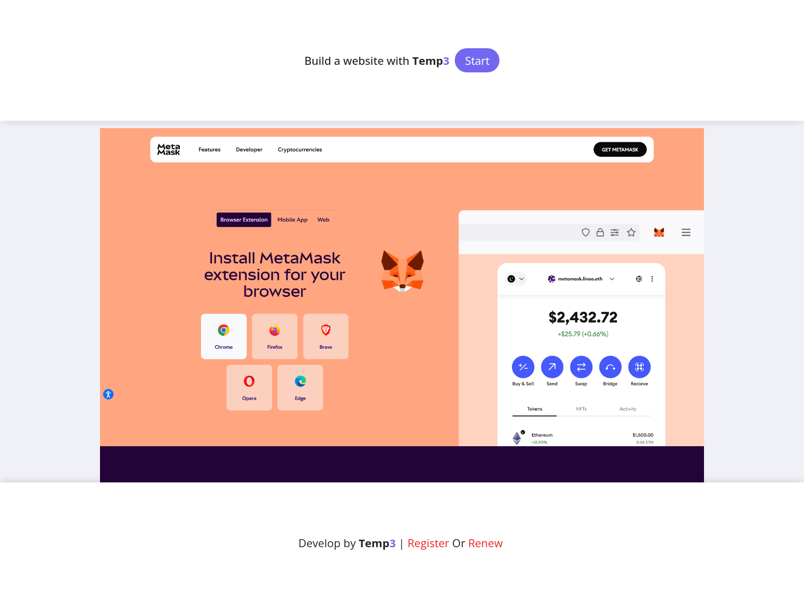 Screenshot of insert-metamask-log.tem3.io