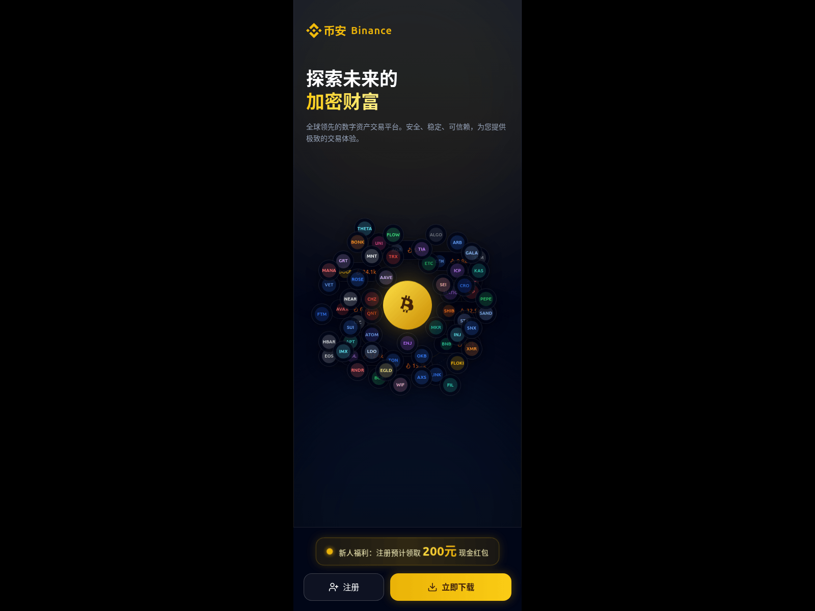 Screenshot of binanceapp.pro