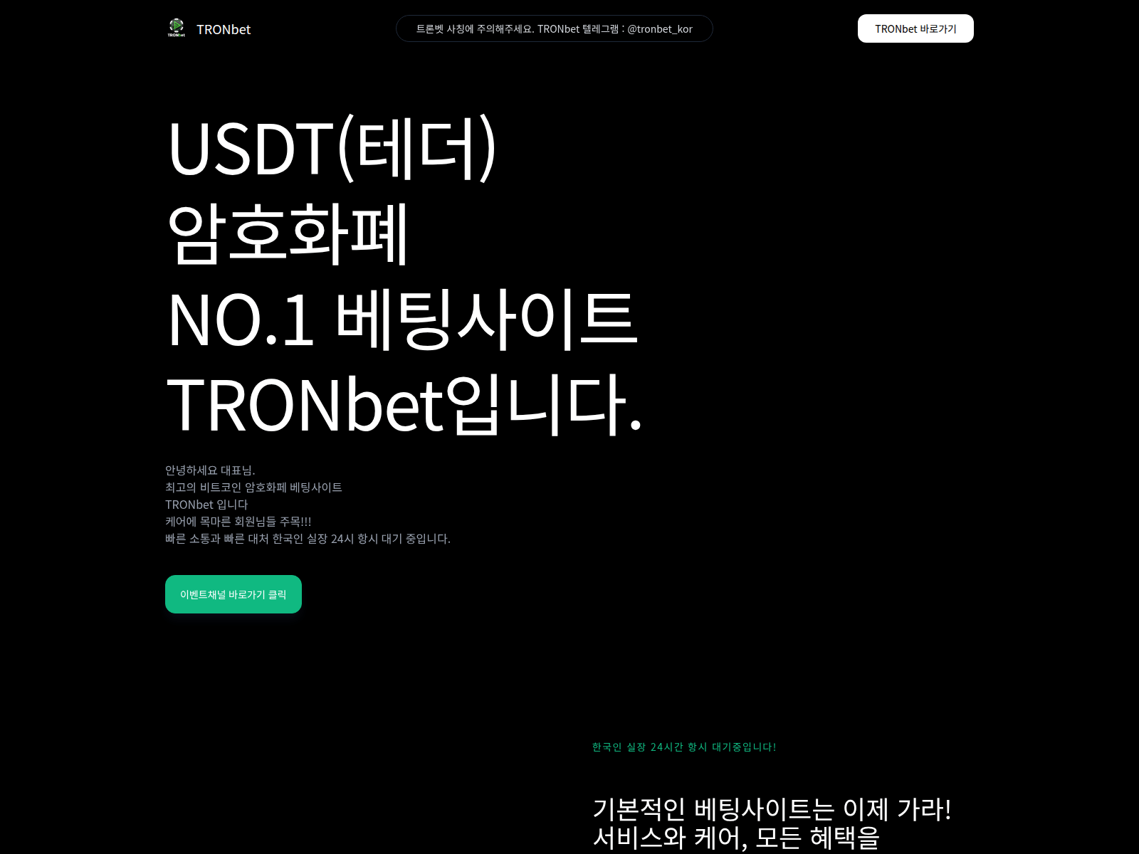 Screenshot of usdttoto.net
