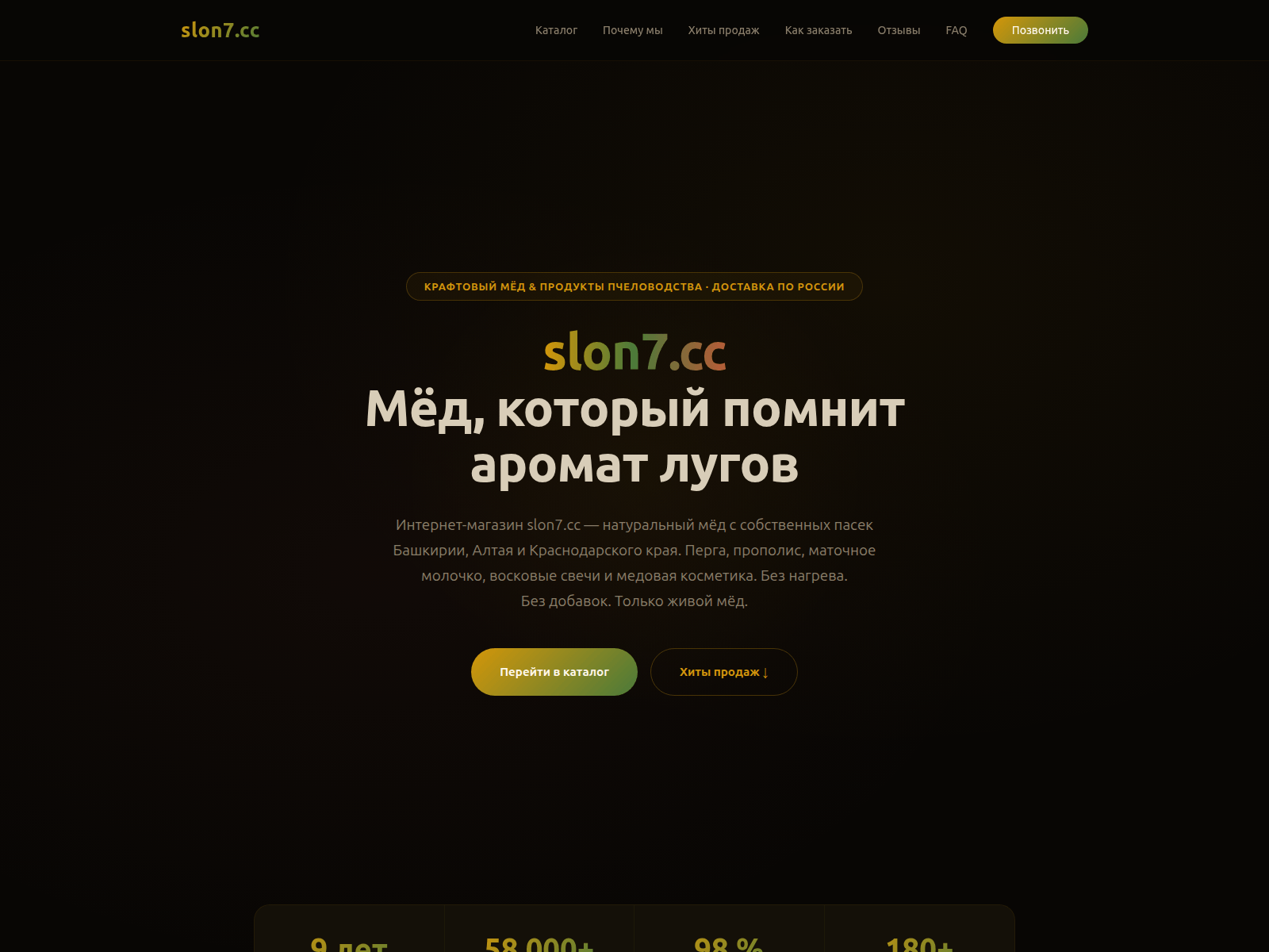 Screenshot of slon7---cc.ru