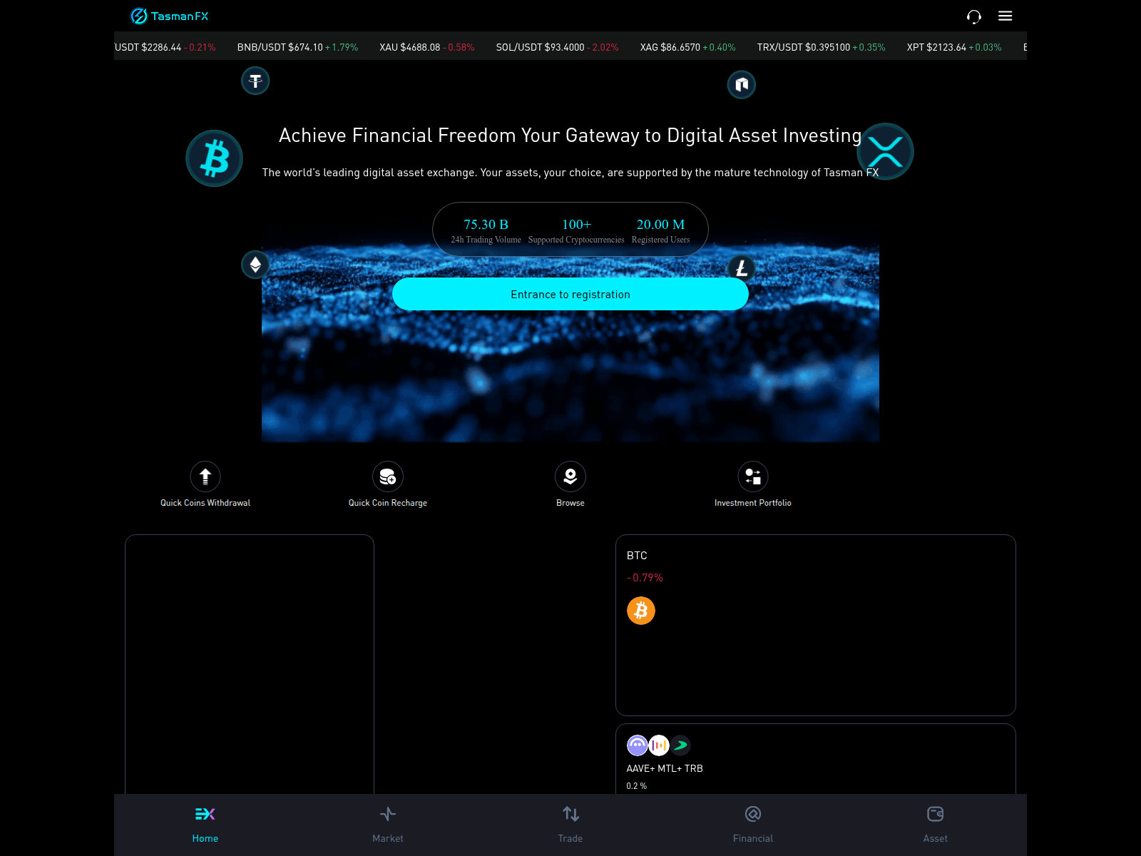 Screenshot of tasmanfx.shop