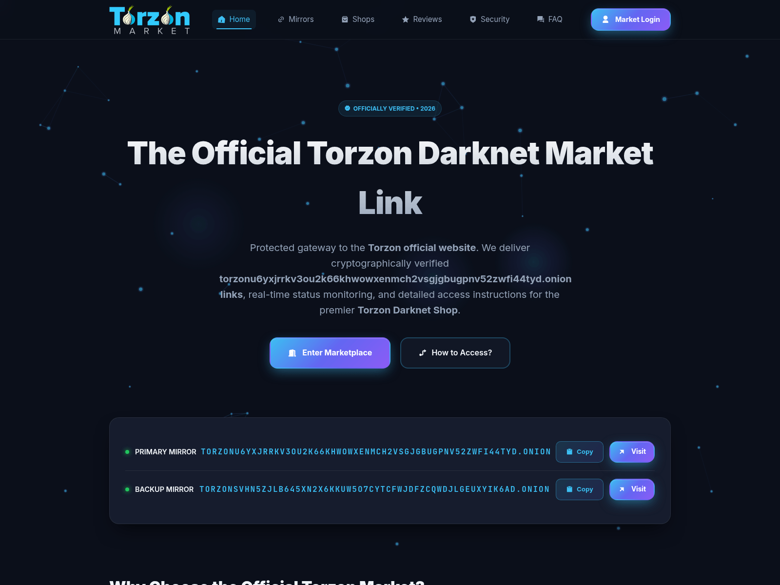 Screenshot of torzondarknetmarket.link
