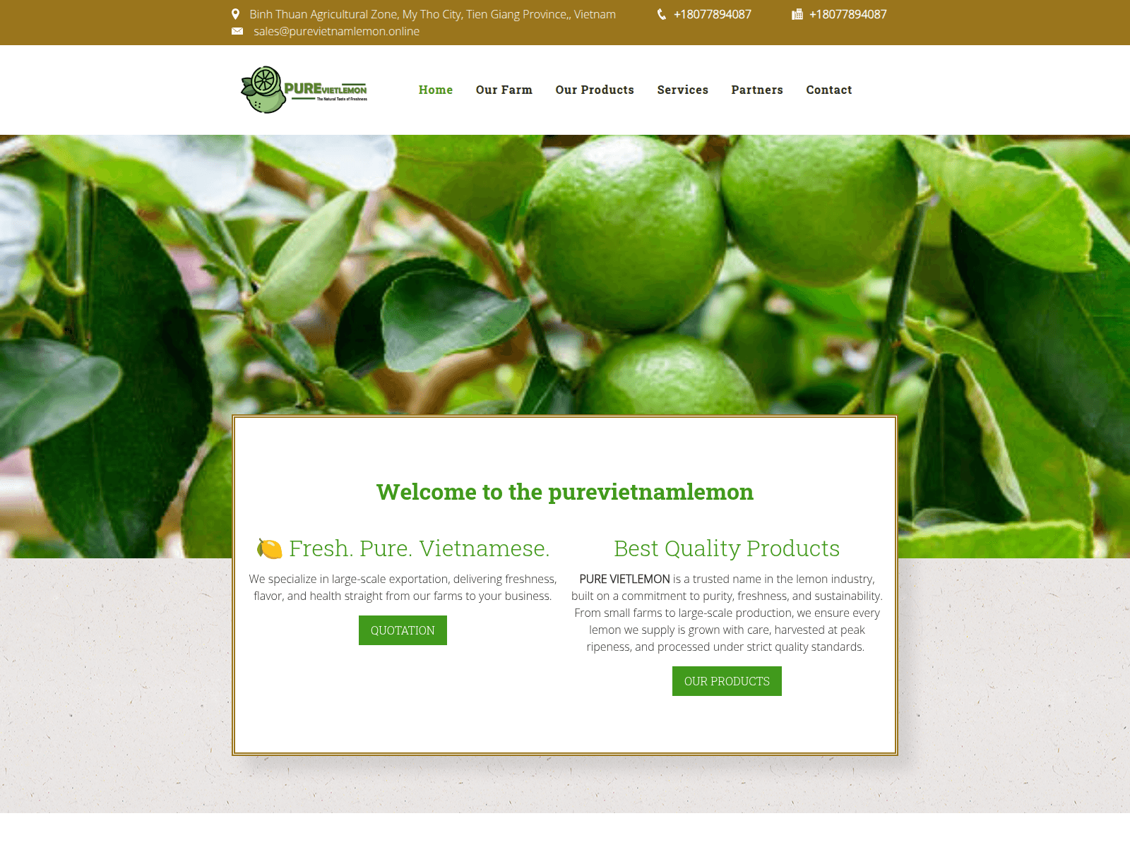 Screenshot of purevietnamlemon.online