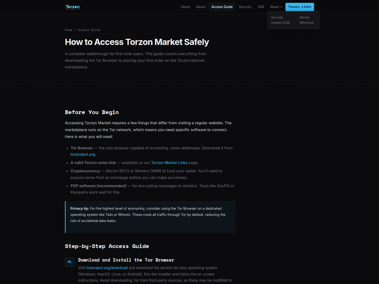 Screenshot of torzon.finance