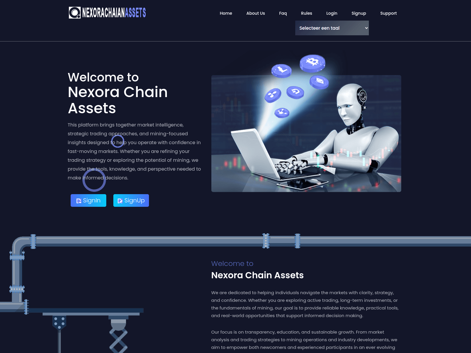 Screenshot of nexorachainassets.com