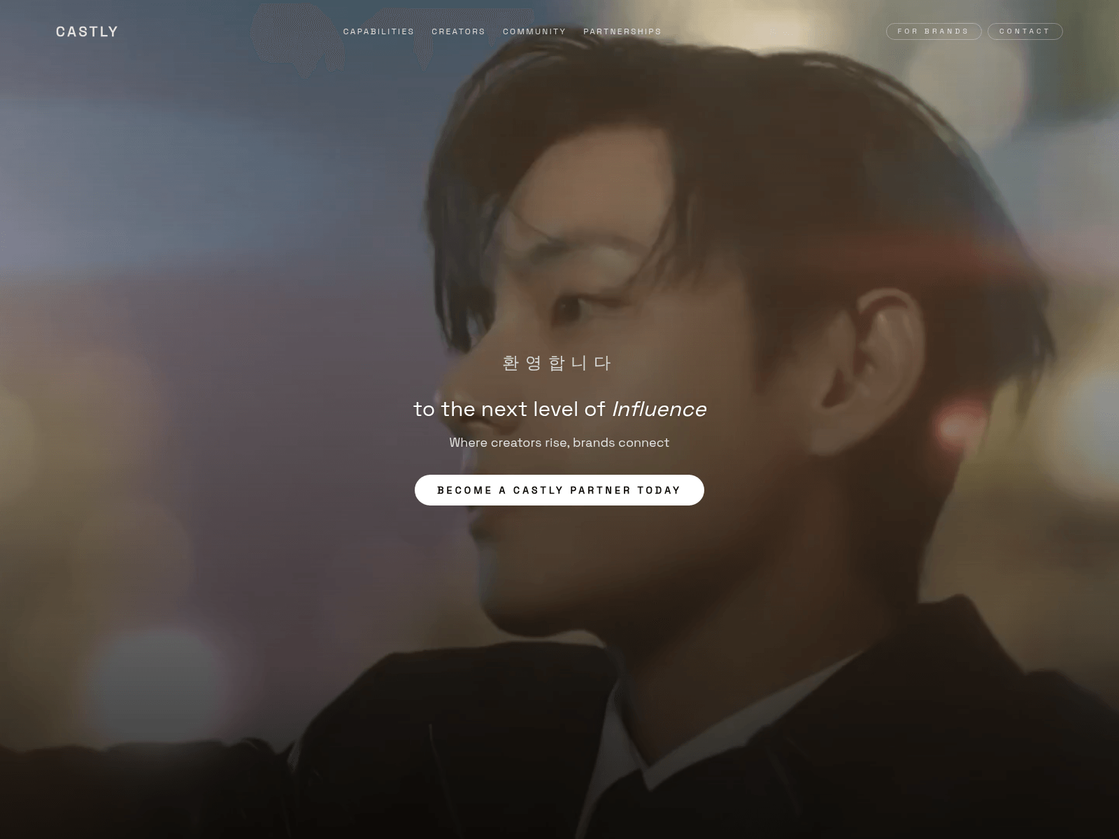 Screenshot of castlystudio.net