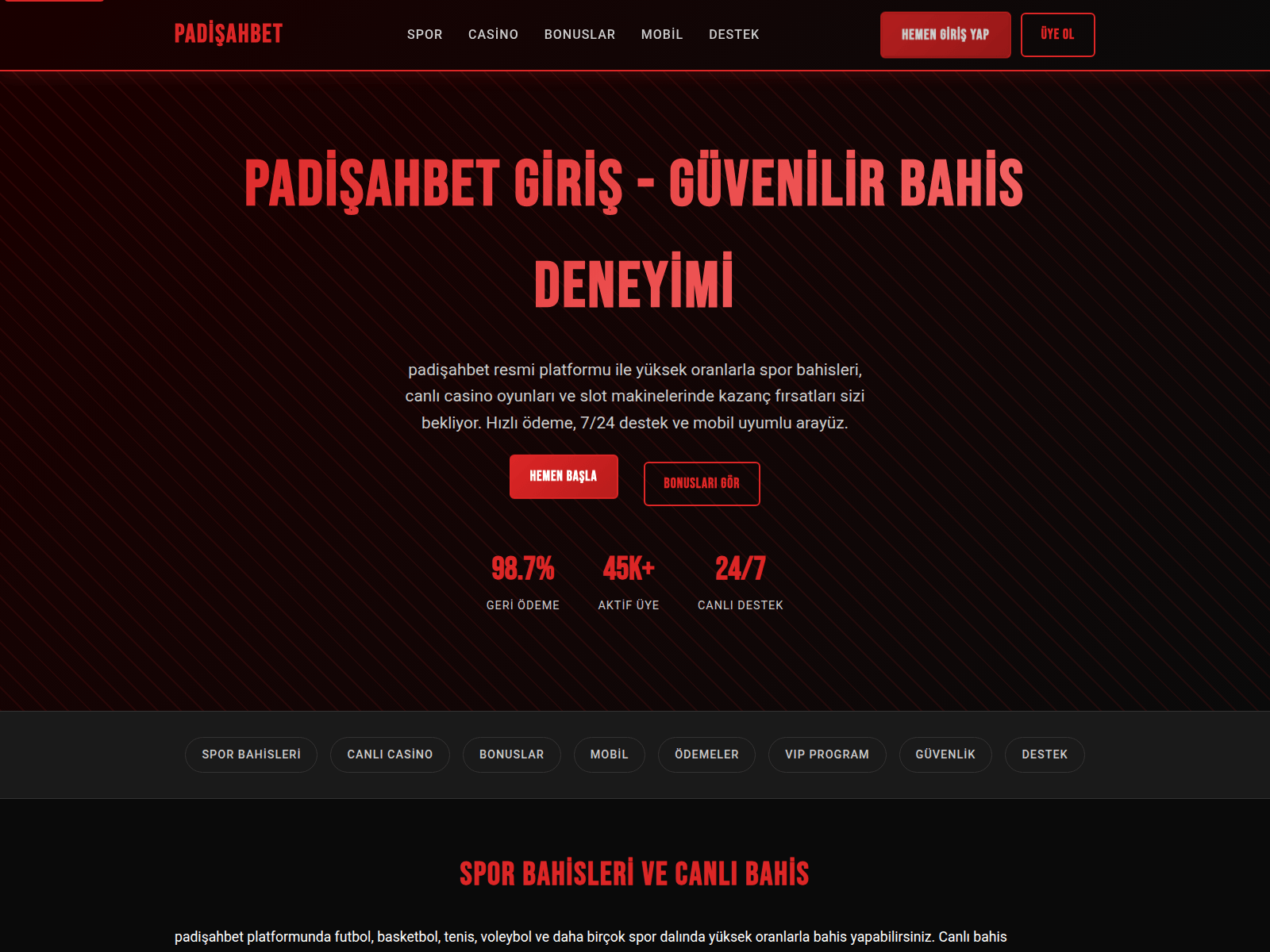 Screenshot of tr.padisahbet-guncel-girisleri2026.vip
