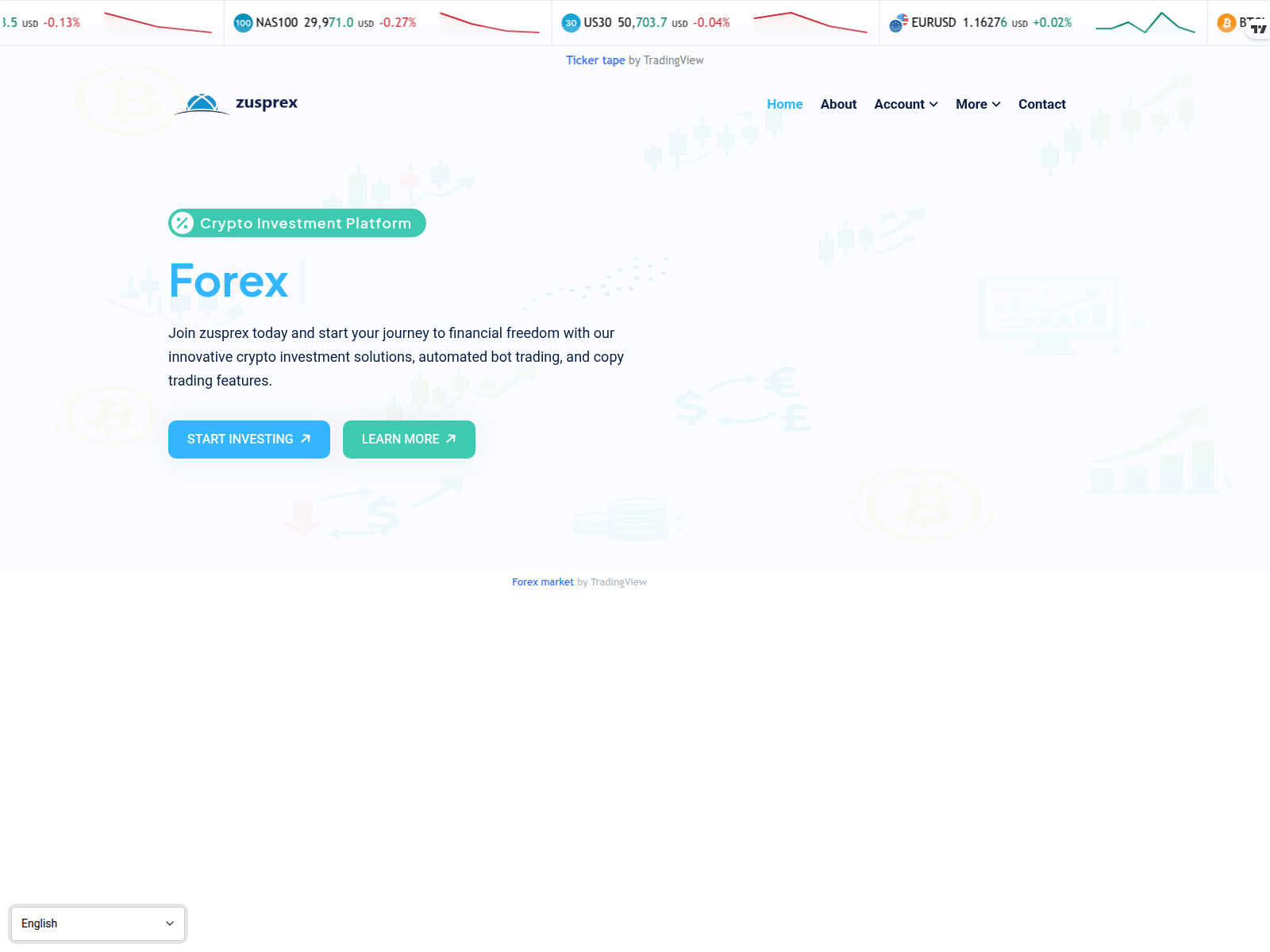 Screenshot of zusprex.com