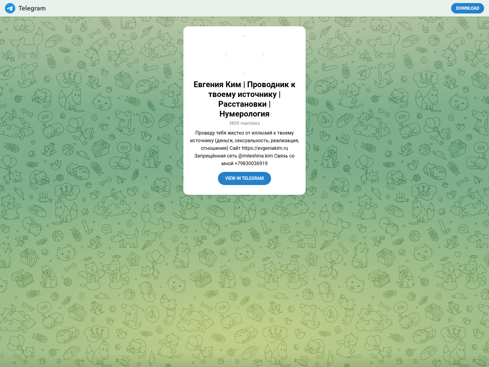 Screenshot of evgeniakim.lat