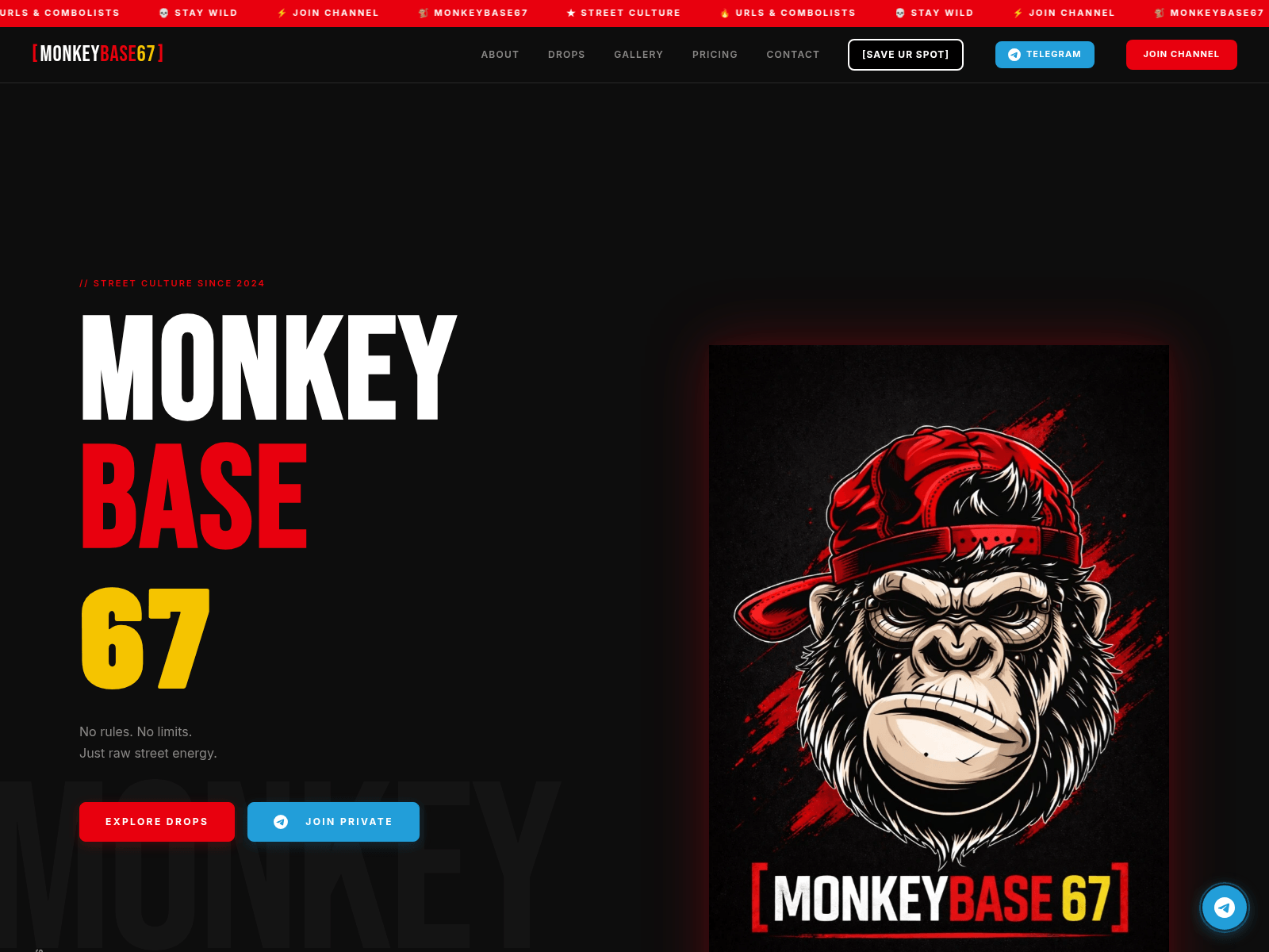 Screenshot of monkeybase67.com
