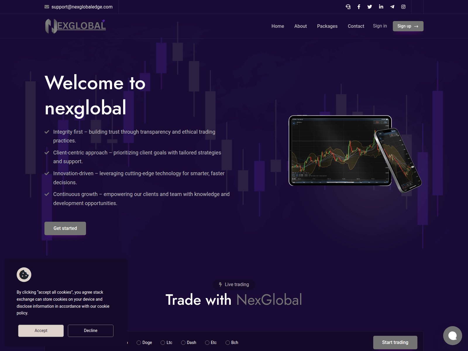 Screenshot of nexglobaledge.com