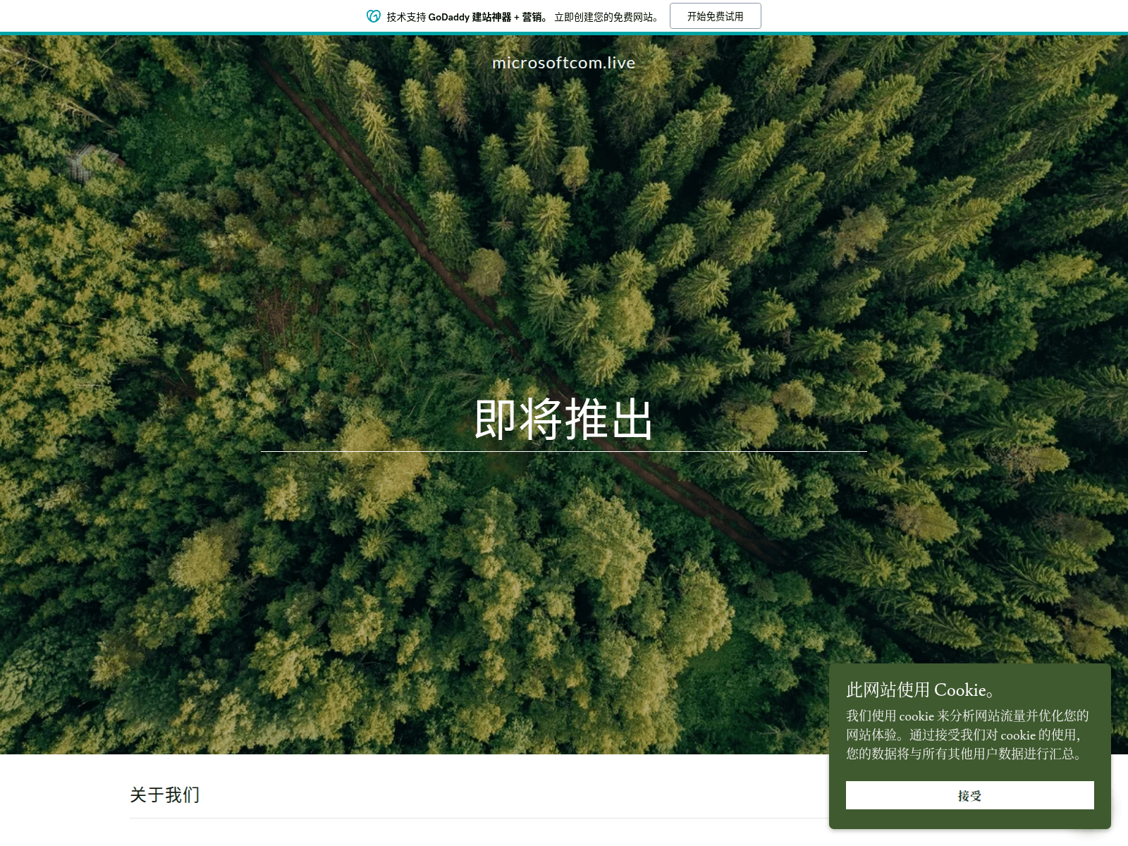 Screenshot of microsoftcom.live