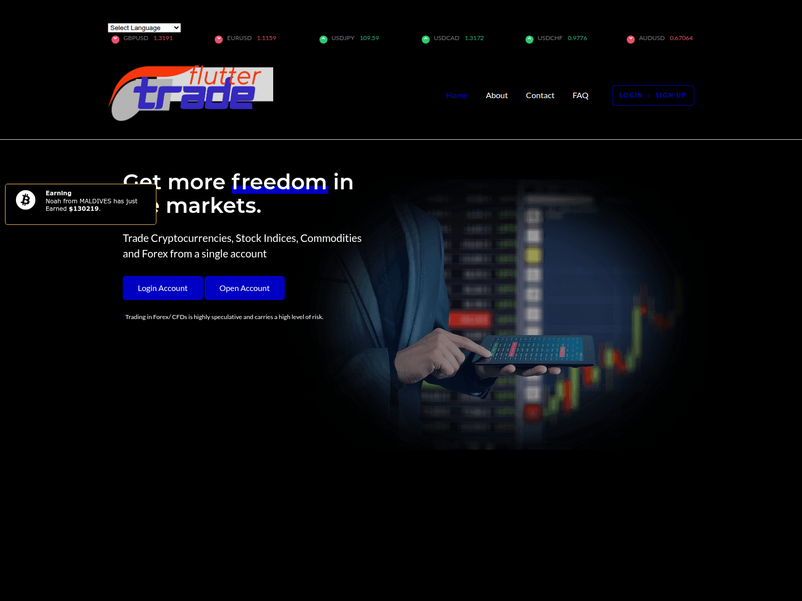 Screenshot of flutter-td.com