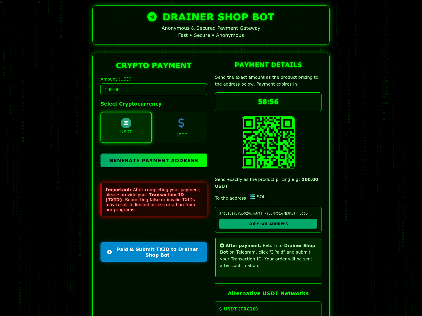 Screenshot of api-dsbot-pay.cc