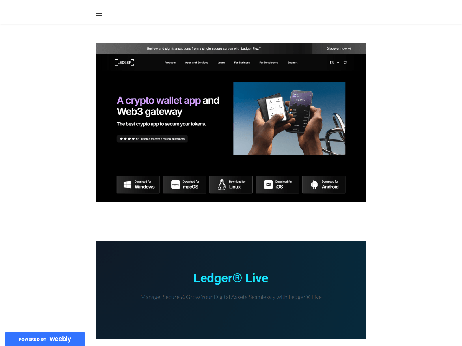Screenshot of ledgior-live.weebly.com