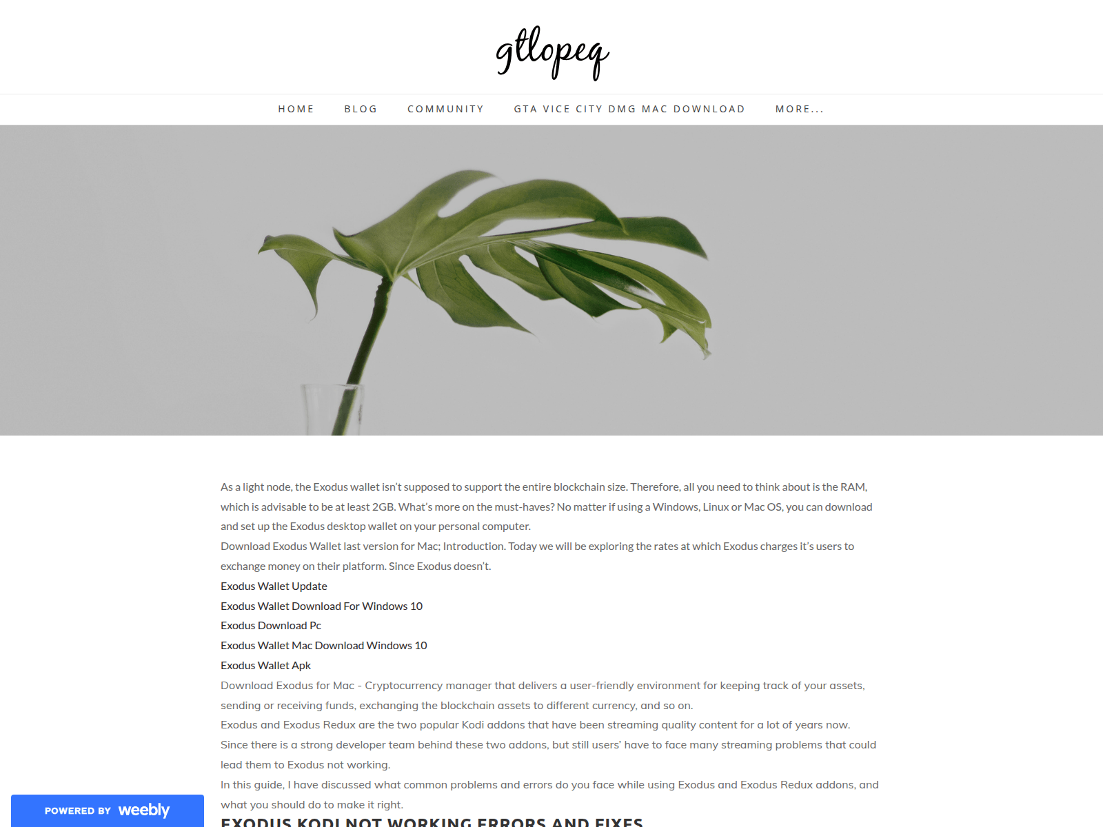 Screenshot of gtlopeq.weebly.com