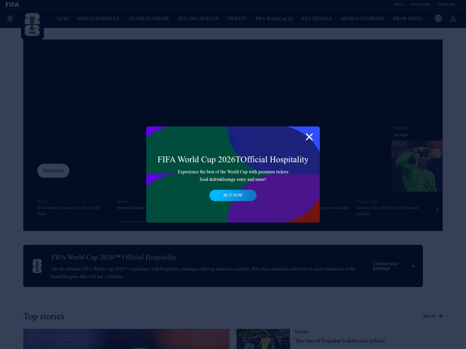 Screenshot of www-fifa.me