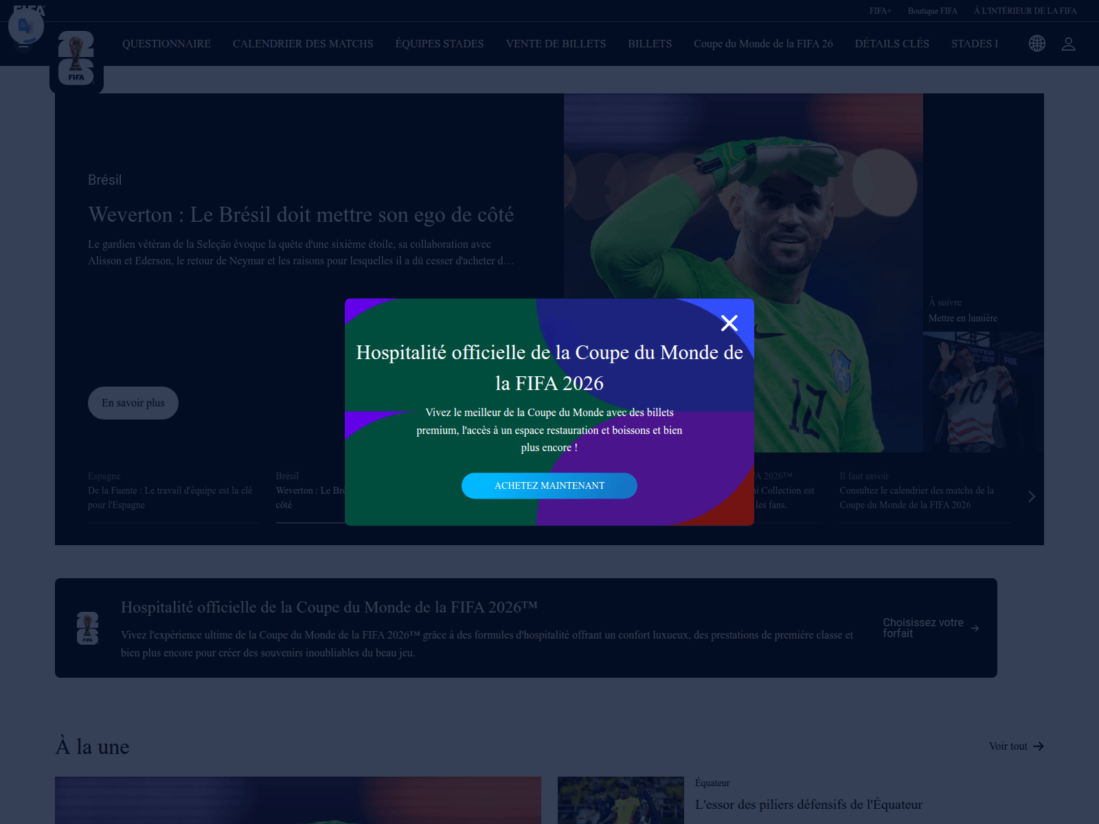 Screenshot of fifa-web.co