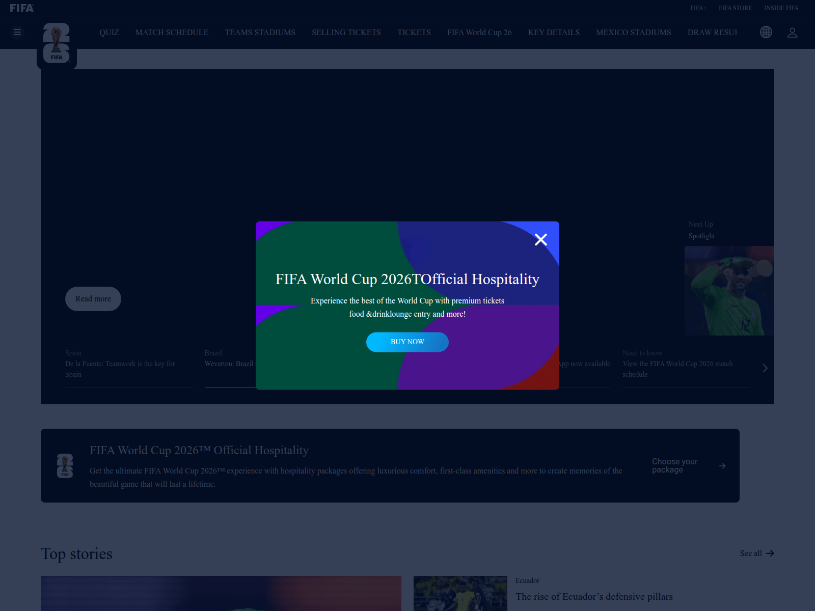 Screenshot of fifa.fund