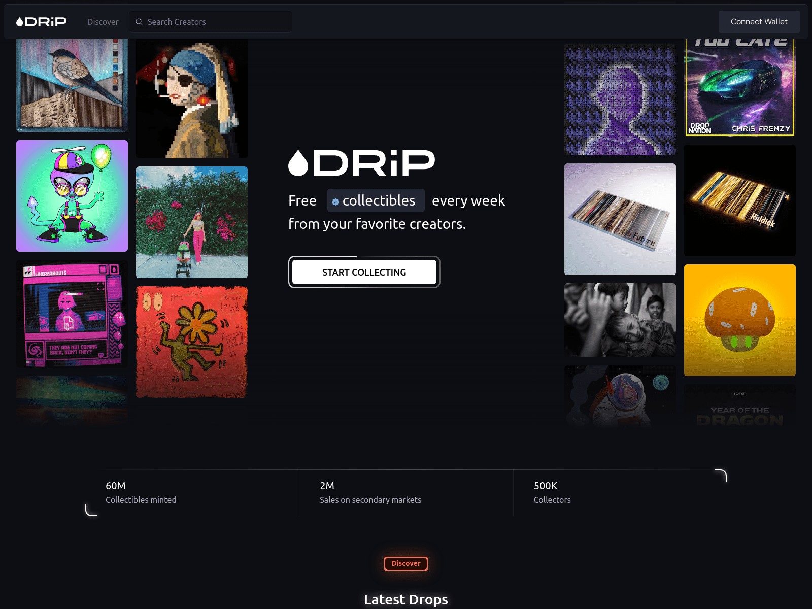 Forensic screenshot of driphaus.xyz