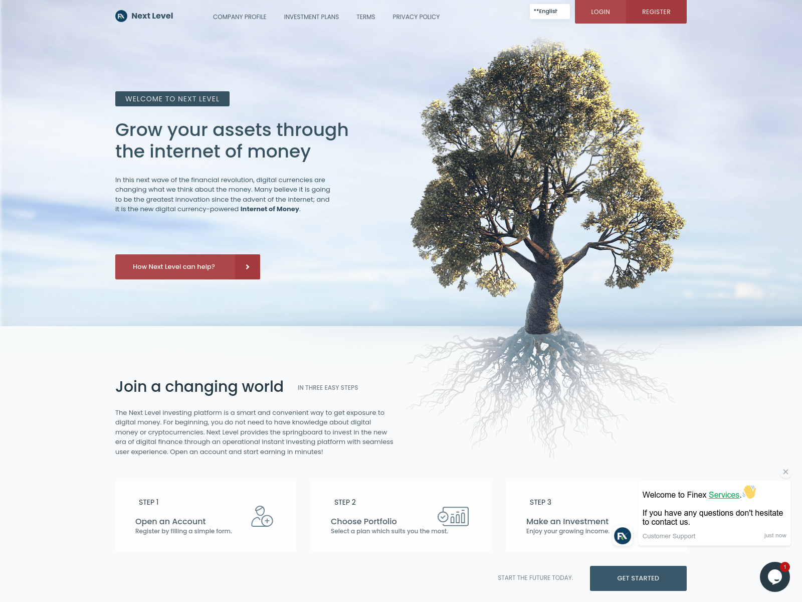 Screenshot of nextlevel-fin.com