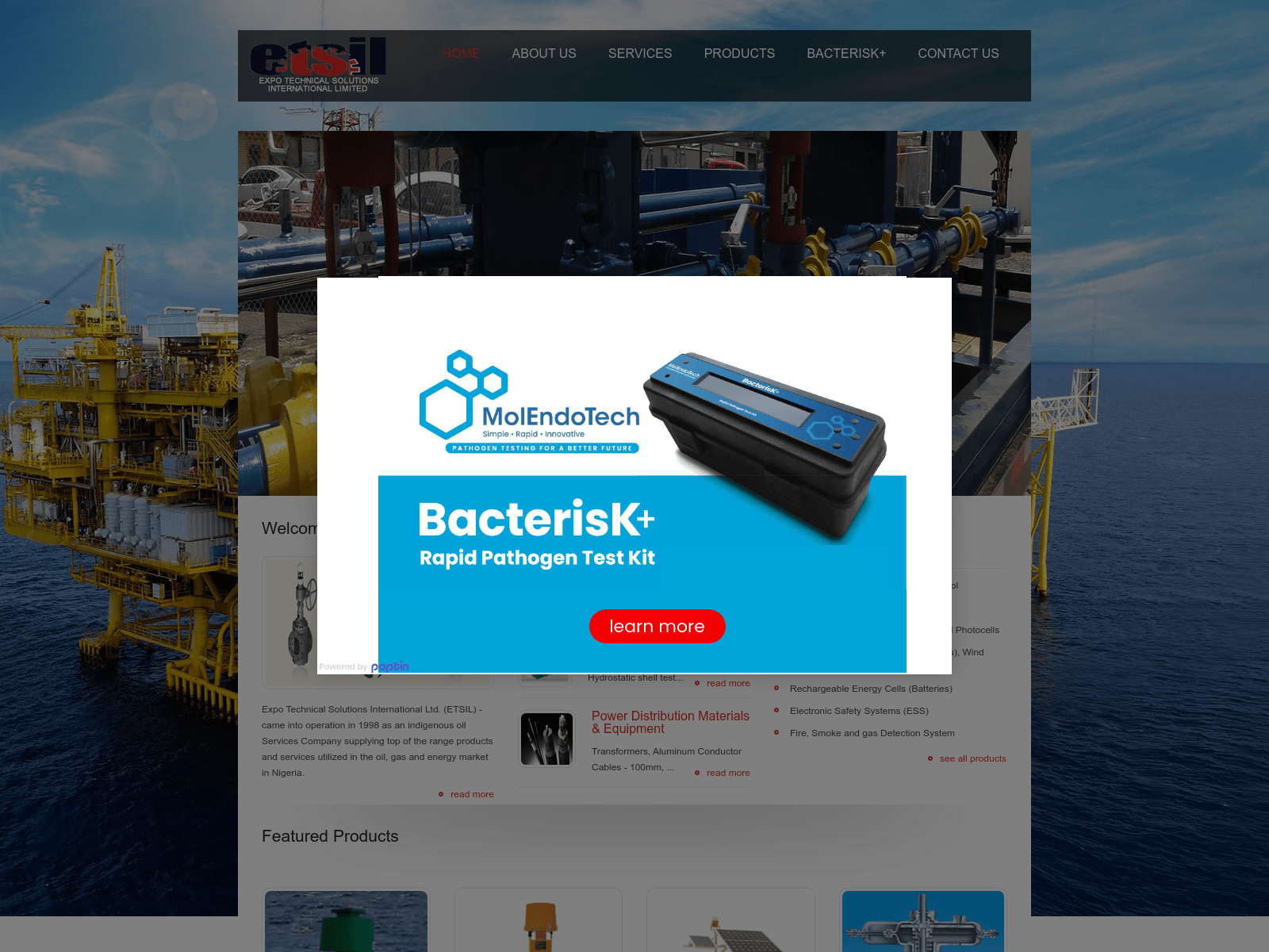 Screenshot of etsilng.com