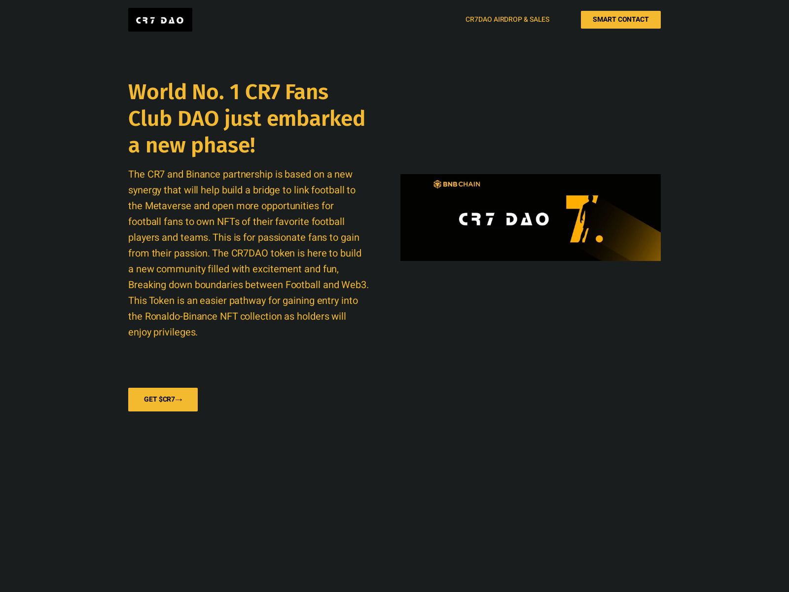 Screenshot of cr7binanceexchange.com