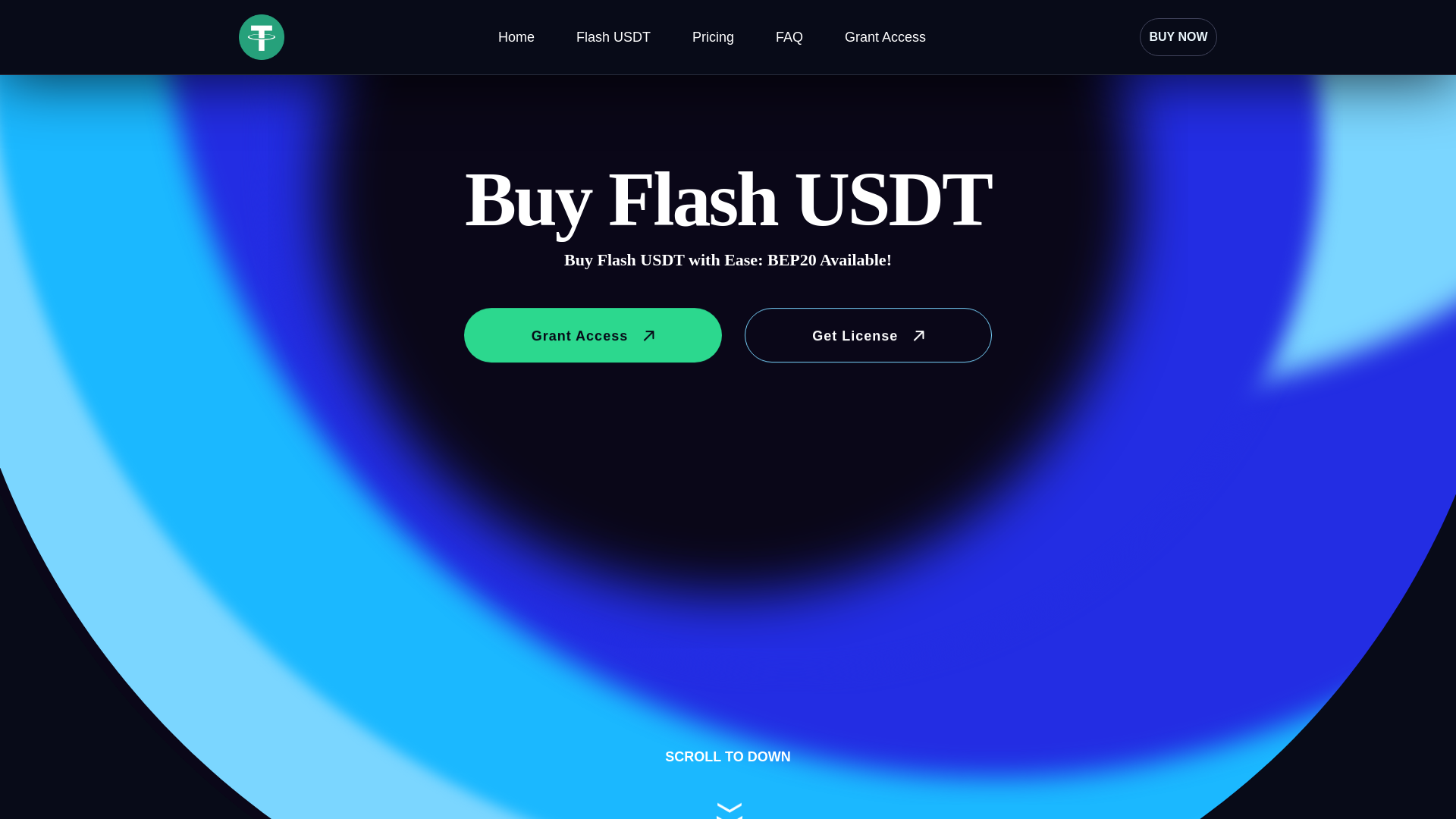 Stored capture of flashusdt.io