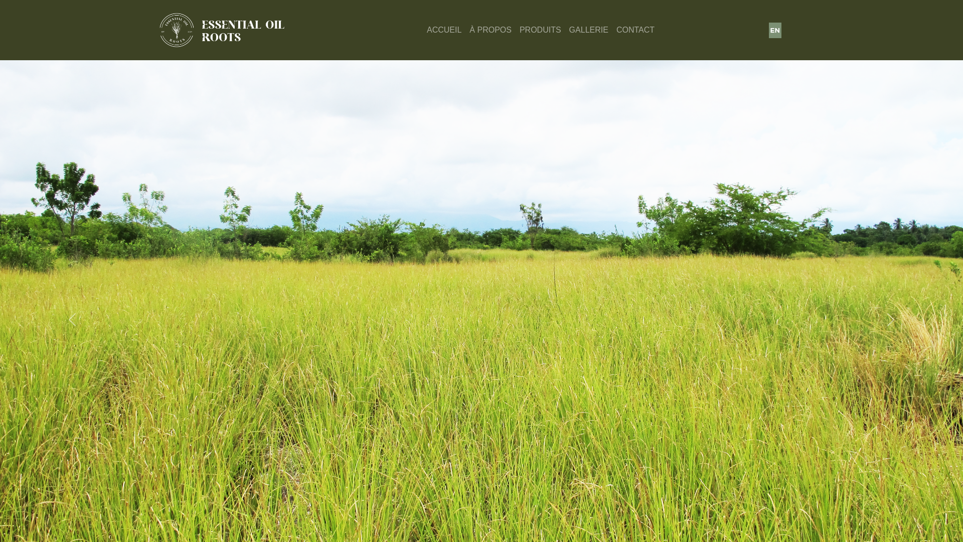 Screenshot of essentialoilroots.com