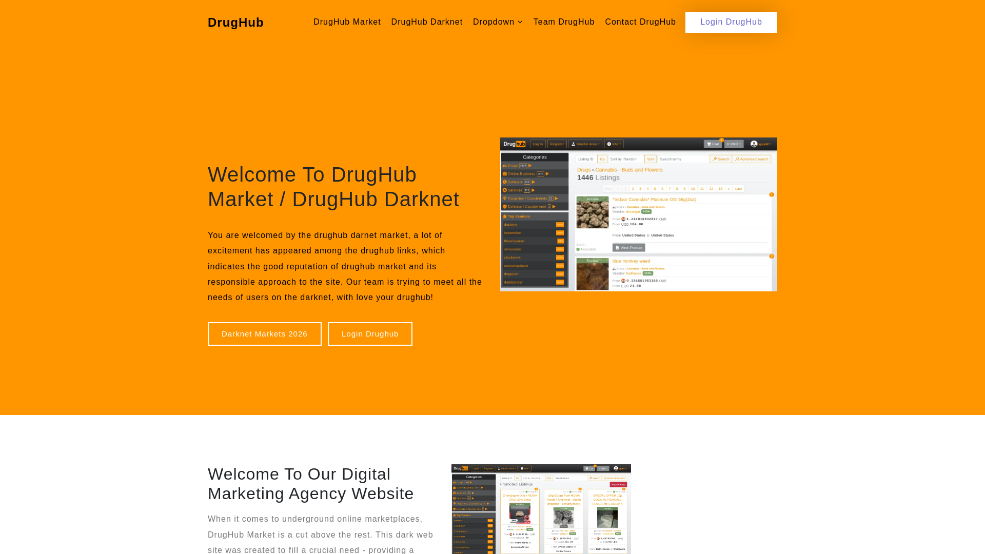 Screenshot of drughubdark.net