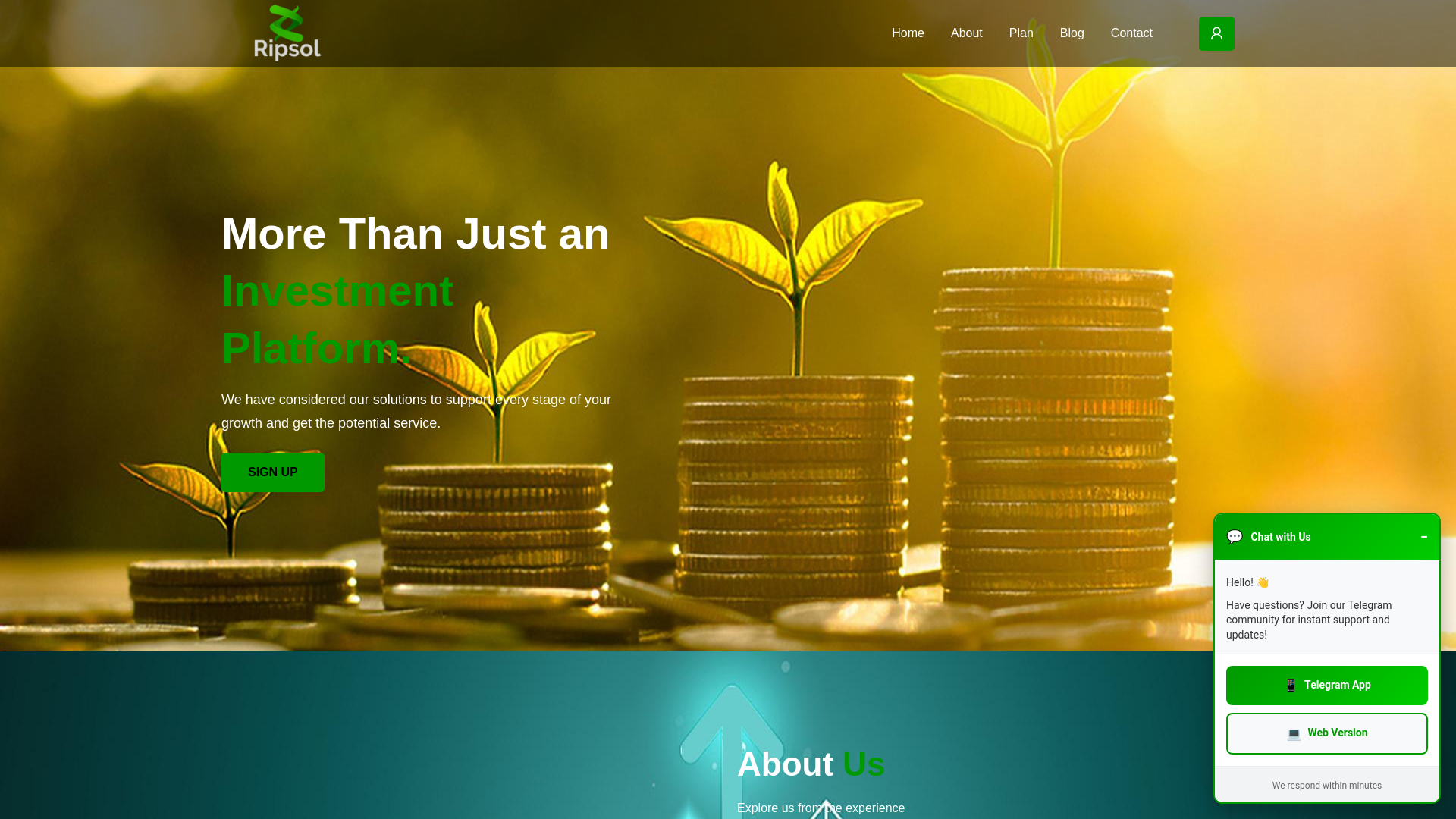 Screenshot of ripsol.com.ng