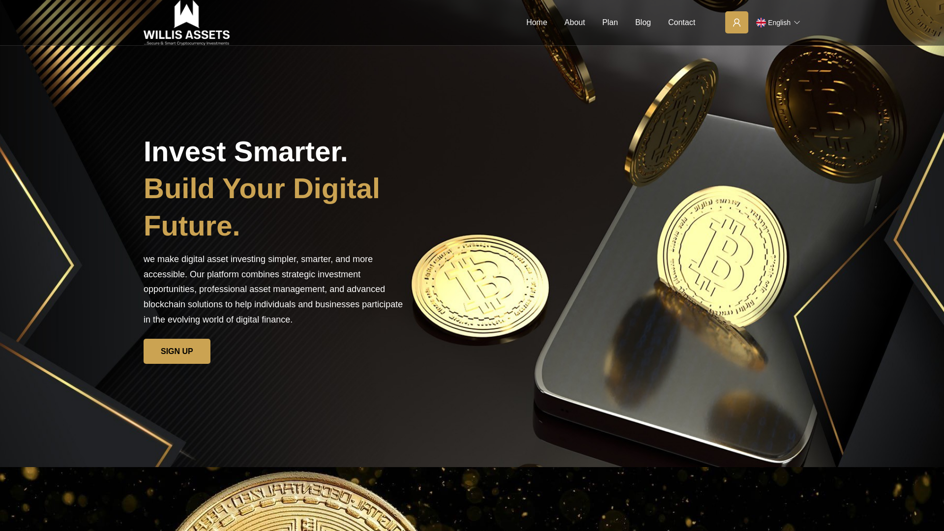 Screenshot of willis-asset.com