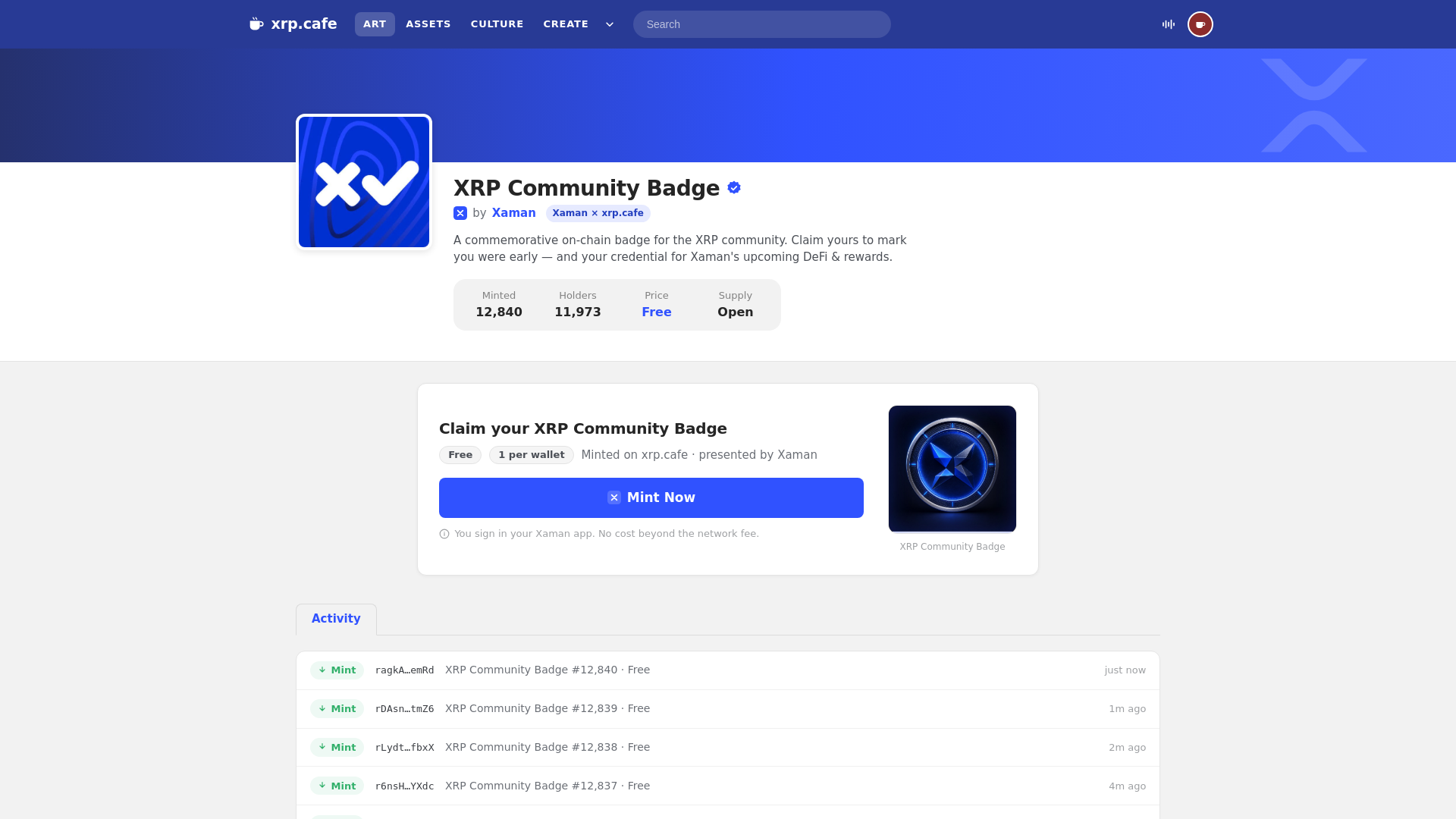 Screenshot of verify-xrp.cafe