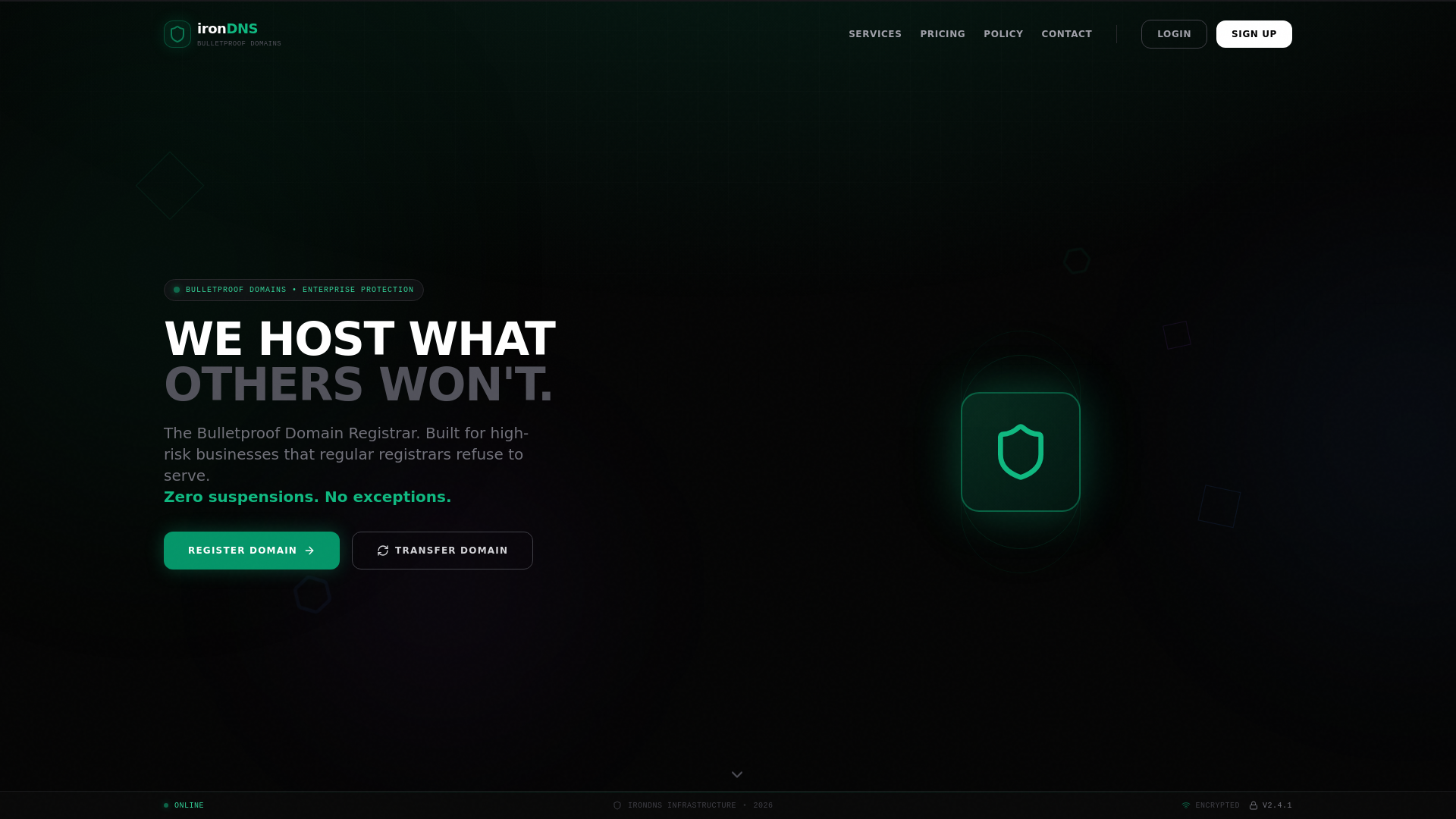 Screenshot of irondns.is